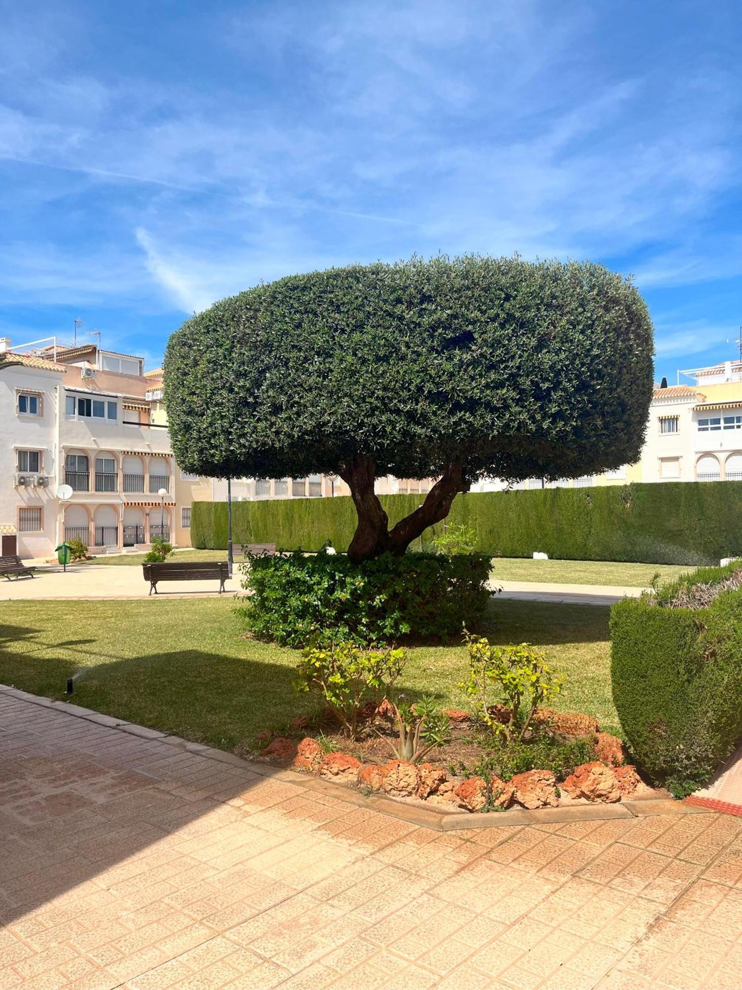 Torrevieja 2 Bedrooms Appartment Esterno foto